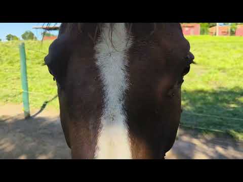 Iracemápolis interior de São Paulo 🇧🇷🇧🇷