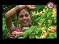 KATHEKALI DUNDU CHWARARE Banjara Song