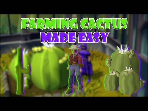 Osrs Cactus Patch