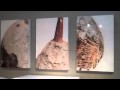 Taigan.com featuring Jeff Jones' Original Beehive Photographs on Bungalow Classic