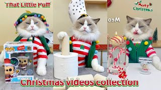 🎄🐾 Puff's Christmas Compilation is here!