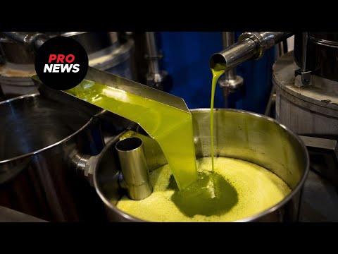 Έρχεται νέα «εκτόξευση» στην τιμή του ελαιόλαδου