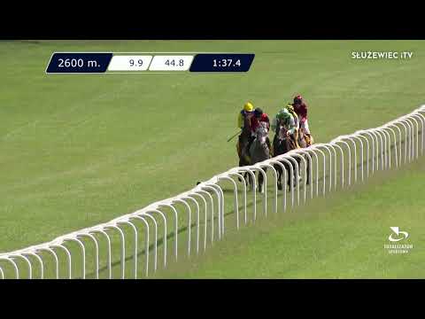 Nagroda Kurozwęk 12.06.2022 - (Dzień 13; Gonitwa 2)