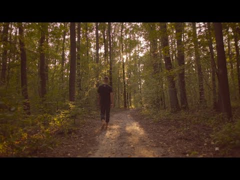 ZEUS - Forest Gang (utwór z albumu "TO POMYŁKA.")