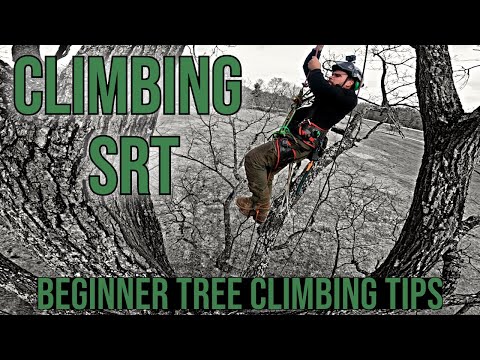 Tree Climbing Beginners Guide To Climbing SRT/SRS