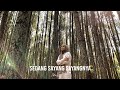 Mawar De Jongh Sedang Sayang Sayangnya Cover By Mitty Zasia