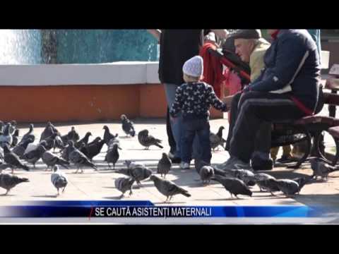 SE CAUTA ASISTENTI MATERNALI