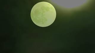 Download lagu 🌜Edward William Elgar：Pomp and Circumstance March No 1 in D major, Op 39　エルガー：威風堂々 第1番 ニ長調 Op 39 20 mp3