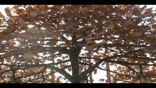 How Does A Duck Know?