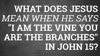 What Does Jesus Mean When He Says "I Am the Vine You Are the Branches" in John 15?