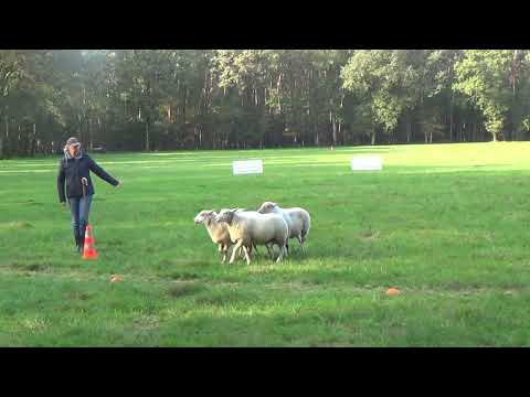 Jacqueline en Eimear, Limburg Cup, 29-10-2023, Run 1