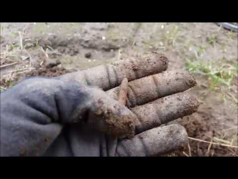 Der Bayern Sondler Teil 13 - Sondeln brachte meinen ERSTEN KELTEN!!!
