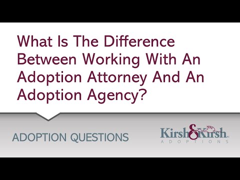 Question 10: What Is The Difference In Working With An Adoption Attorney And An Adoption Agency?