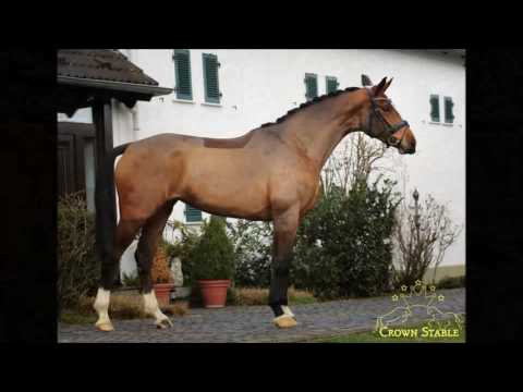 Estobar NRW x Abanos