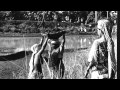 Visible Work Invisible Women Photo Exhibition P Sainath A Field But Not One S Own Panel 3