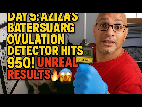DÍA 5: ¡El detector de ovulación Batersuarg de Aziza EXPLOTA hasta 950! 😱🔥 ¡Resultados imperdible...