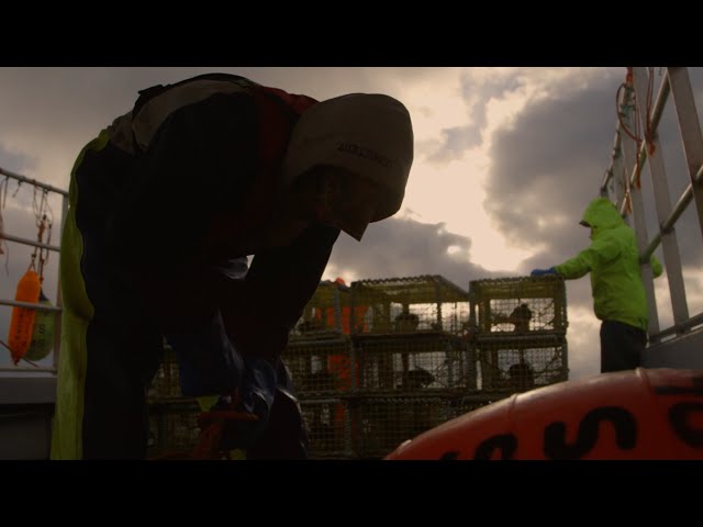 Video thumbnail for 
    Nova Scotia Safe at Sea Alliance - Fishing Safety Now
