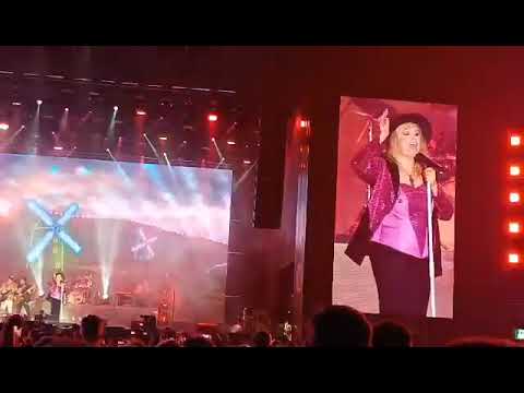 Neoton Família 80'S Disco Retro Fesztivál 2023.06.10. Budapest