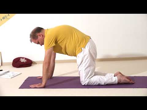 Rundbucklige Katze - Marjaryasana - Yoga Asana Lexikon