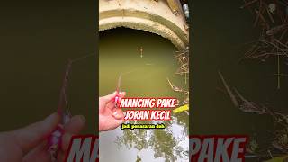 Download lagu Fishing with a small rod. Did you catch any? mp3