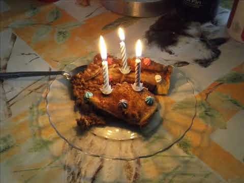 where is my slice of the cake chesta parables