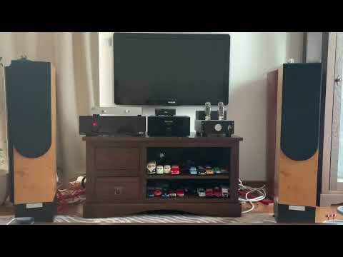 Haiku Sol 1 + Living Voice Ibx R2, Audio  Note Dac1