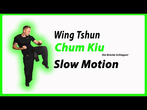 Chum Kiu Form in Slow Motion for your #wingchun #wingtsun #wingtsunkungfu #詠春 #詠春拳