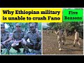 Why Ethiopian Military Is Unable To Crush Fano Five Reasons