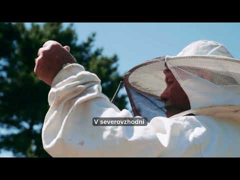 1/3 Project 'Women beekeepers as drivers of positive change in N. Macedonia'