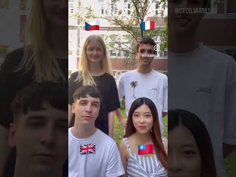 Language challenge part 4#language #languagechallenge #english #chinese #french #czech #sentences