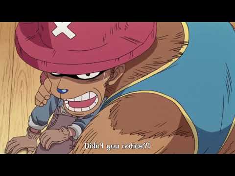 Zoro And Sanji Did Not Realize The Kid Is A Girl Dead End #5