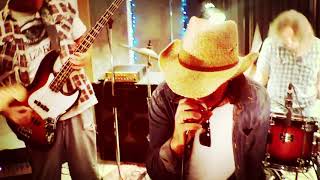 Nutbush City Limits - The Riverhawks