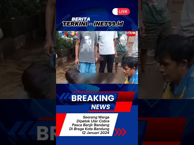 Seorang warga digigit ular kobra saat banjir