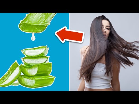 aloe vera gel für körper BIO Aloe Vera Gel 2in1 Hair + Body Superfood Naturkosmetik