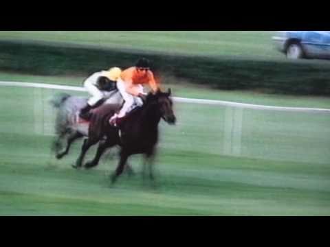 Nagroda Porównawcza - 25.10.1997 - Druid  (Wojsław - Dalida)