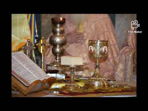 Străin pribeag și călător sunt azi pe acest pământ(priceasnă)