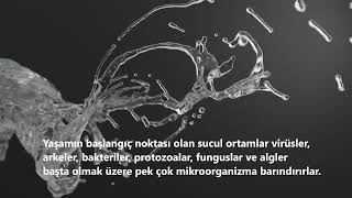 Su Deposu Temizlik ve Dezenfekte