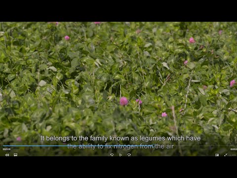 Farming Foodsteps On Farm Video Series: Glenkilrie Farm Episode 4