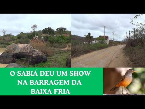 EXPLORANDO A BARRAGEM DA BAIXA FRIA E O ENCANTO DO SABIÁ - MONSENHOR TABOSA CE