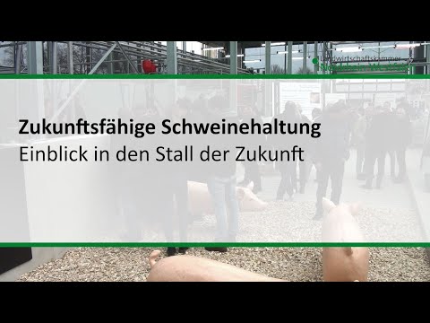 Sustainable pig farming: An insight into the barn of the future