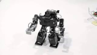 Watch this robot do the 'Gangnam Style', property of IIRISS (Oman)