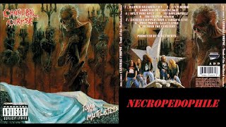 Cannibal Corpse - Necropedophile (guitar cover)