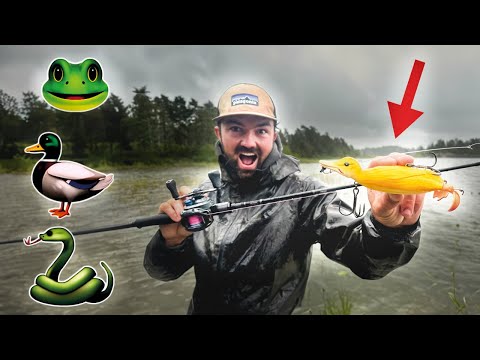 Köder-Challenge: Ente 🦆 vs. Frosch 🐸 vs. Schlange 🐍 – Wer wird zuerst gefressen?!