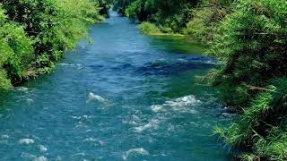 #Relaxingsound #sleepmusic #stressrelief #naturesound  #oceanwaves  #freshriversound #bovkatvlog