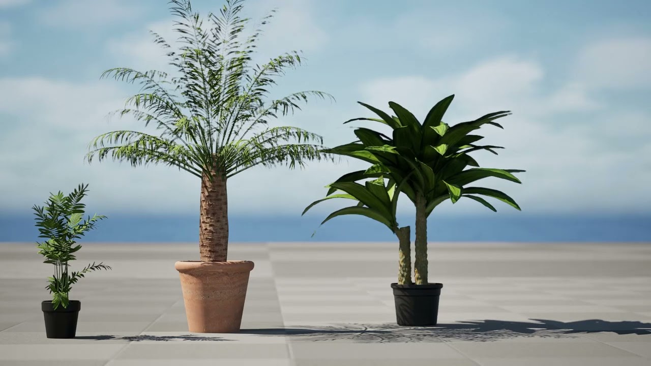 Collezione di palme da interno Modello 3D