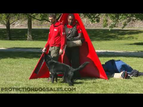 Super Powerful "Donnor" Showing Off His Skills Offsite