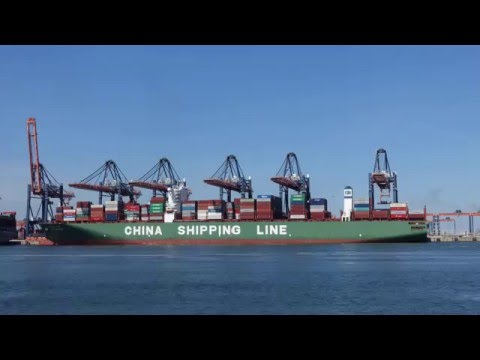 Timelapse of the Amazonehaven and Euromax Container Terminal Maasvlakte Rotterdam