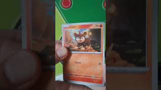 Abrindo cards Pokémon: Megaevolução 16 #pokemon #pokemoncards #pokemontcg #megaevolution