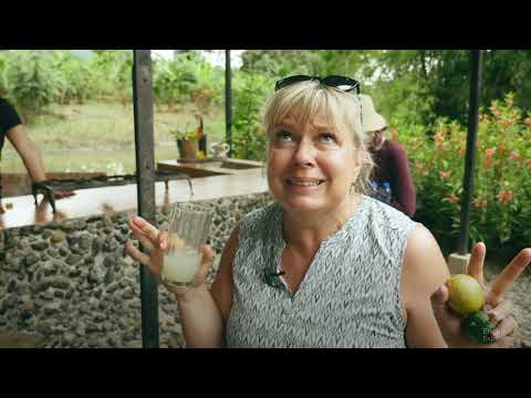 Cacao Farm - Enchanted Expeditions