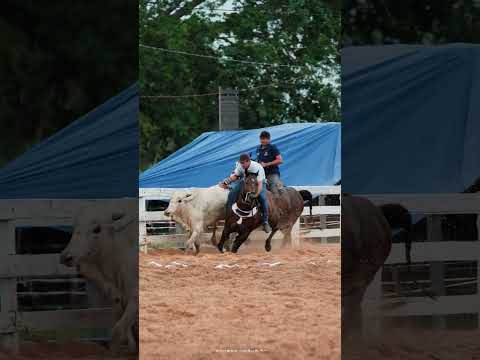 Mano Walter e Talita Mel   Te Encontrei na Vaquejada